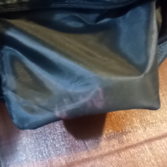 Totoro loungefly - Picture 3 of 6